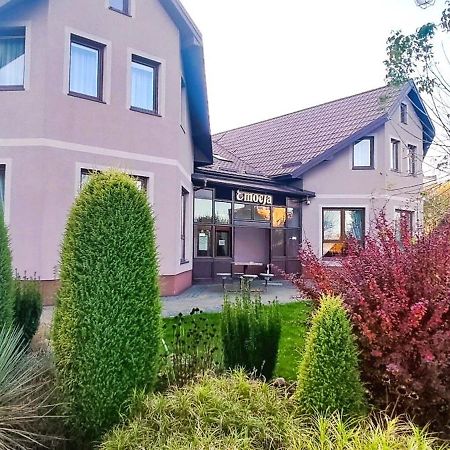 Pensjonat Emocja Leczna Exterior photo